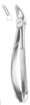 Fig. 136 upper premolars and roots 
